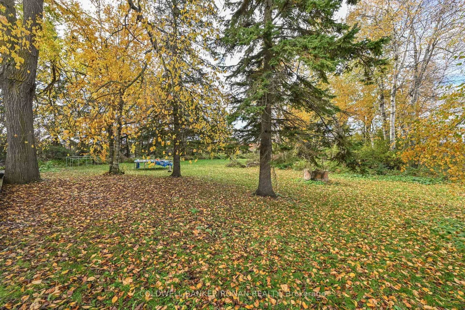 Farm at 6336 Concession Road 7, Adjala-Tosorontio, ON - Photo 31 - RE/MAX Garden City Realty