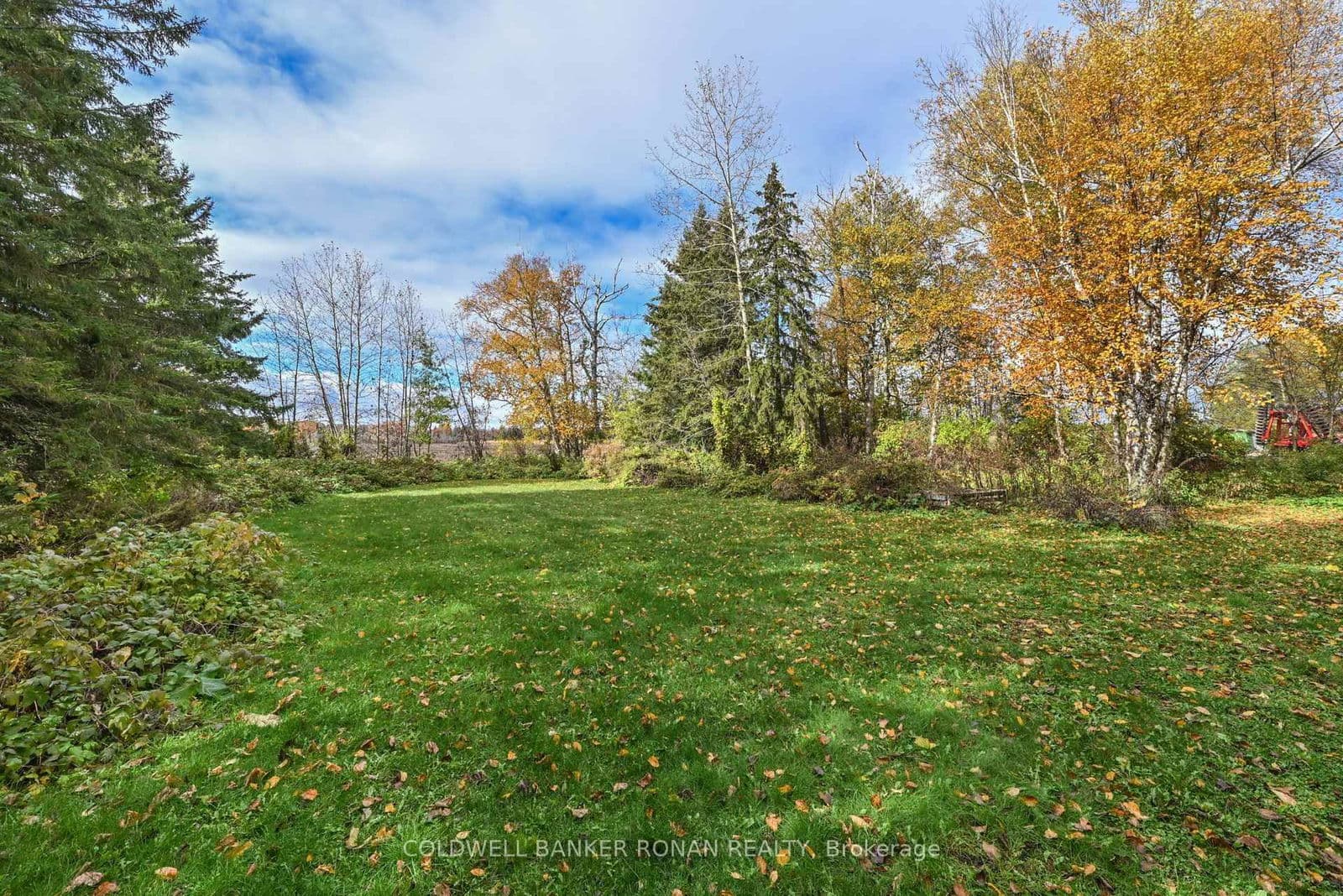 Farm at 6336 Concession Road 7, Adjala-Tosorontio, ON - Photo 33 - RE/MAX Garden City Realty