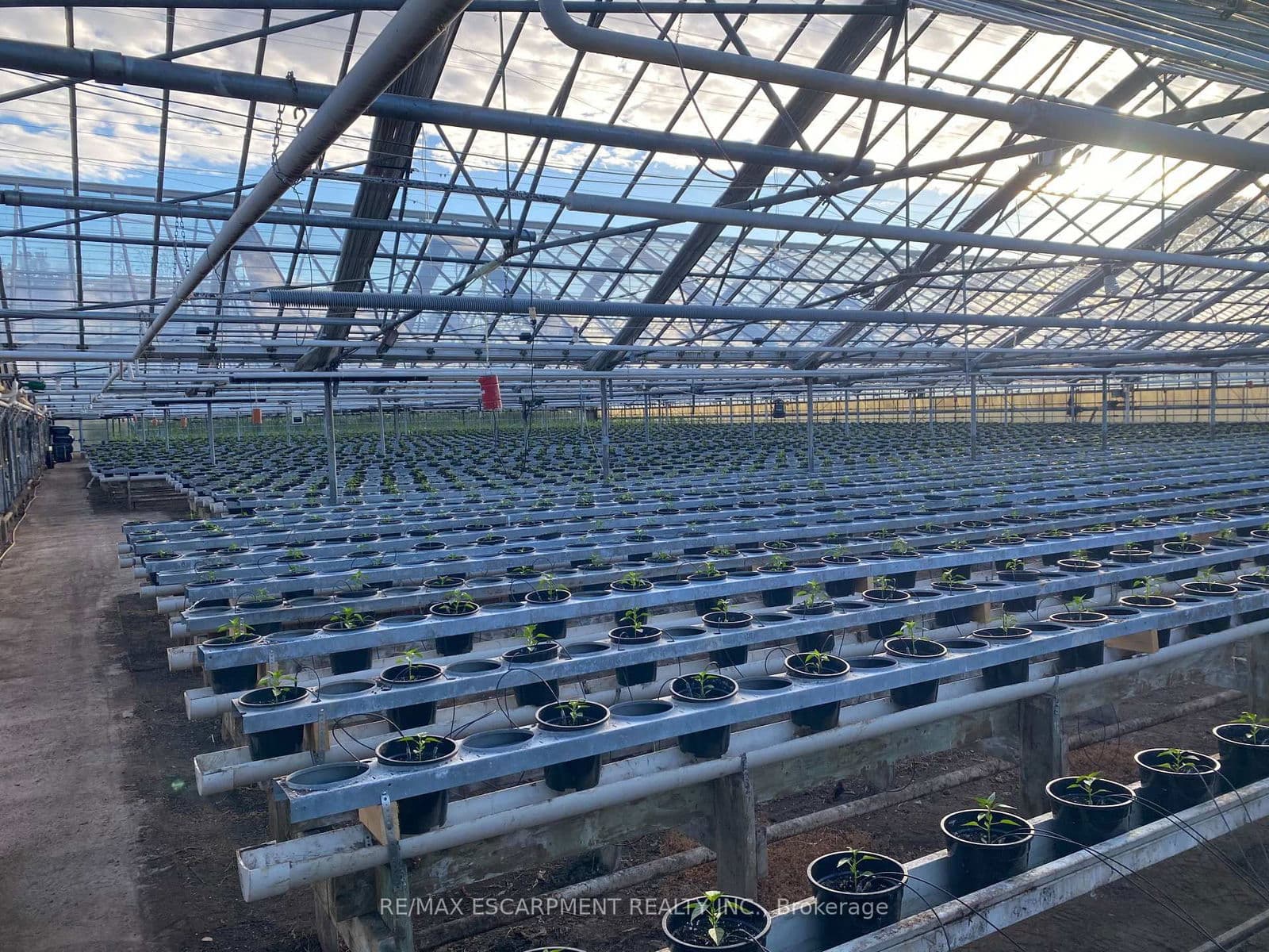 Farm at 5220-5226 Greenlane Road, Lincoln, ON - Photo 5 - RE/MAX Garden City Realty