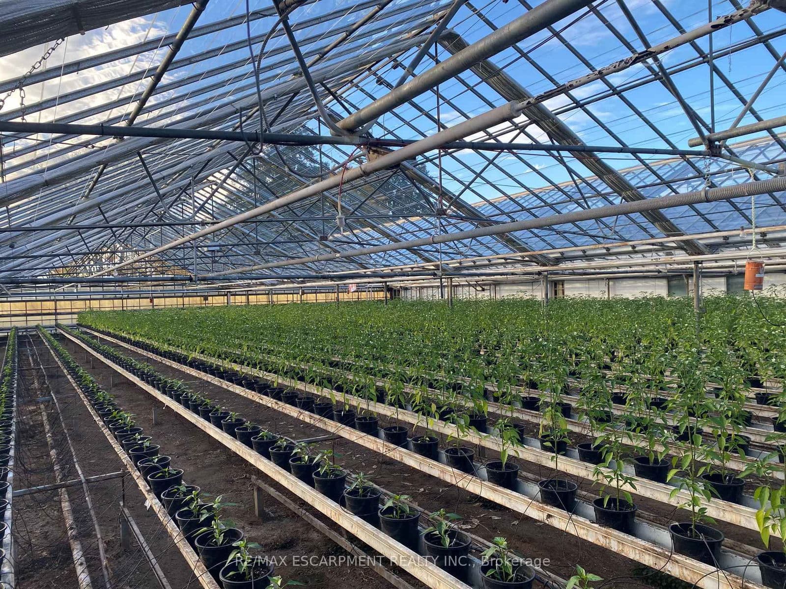 Farm at 5220-5226 Greenlane Road, Lincoln, ON - Photo 6 - RE/MAX Garden City Realty