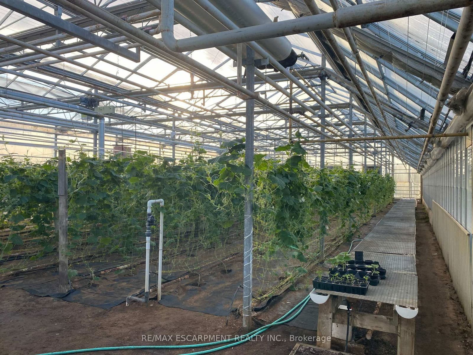 Farm at 5220-5226 Greenlane Road, Lincoln, ON - Photo 7 - RE/MAX Garden City Realty