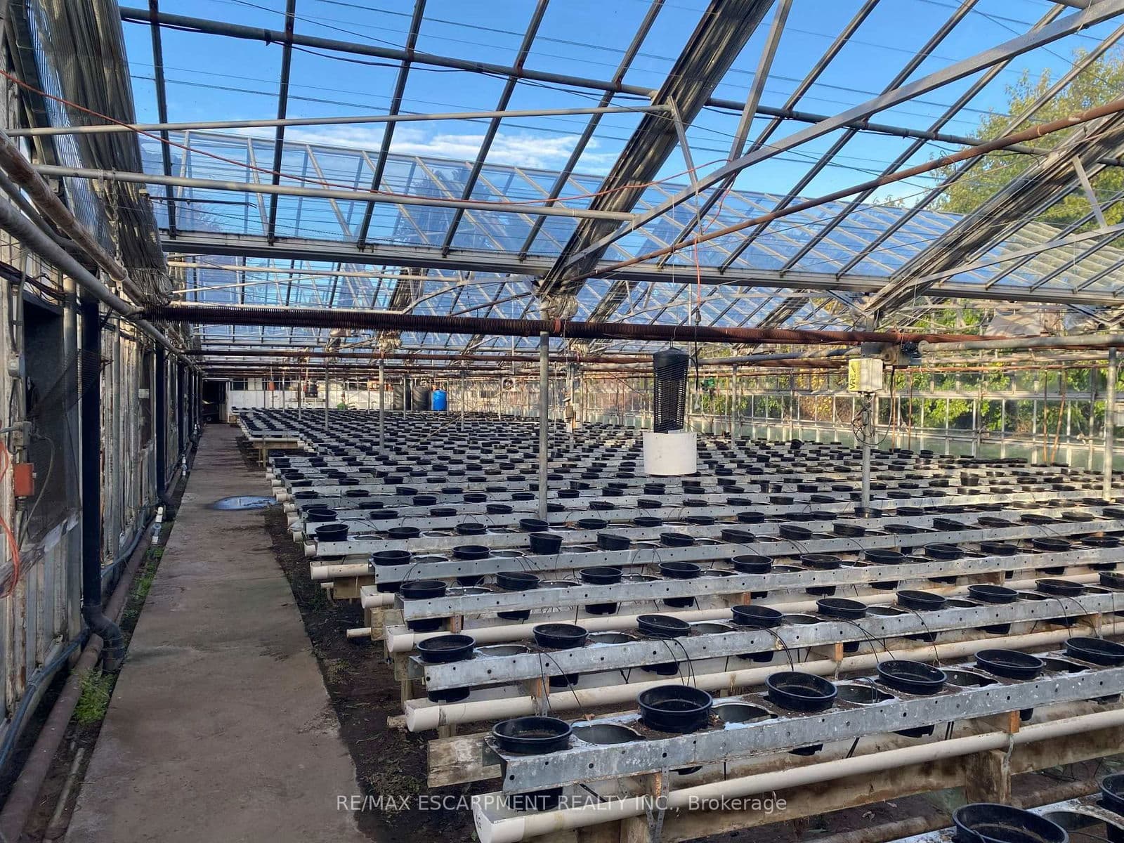 Farm at 5220-5226 Greenlane Road, Lincoln, ON - Photo 8 - RE/MAX Garden City Realty