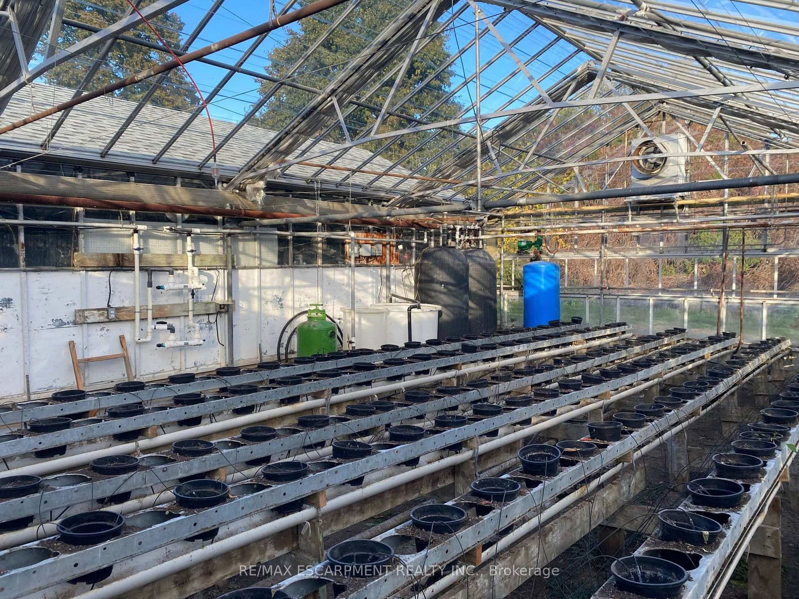 Farm at 5220-5226 Greenlane Road, Lincoln, ON - Photo 9 - RE/MAX Garden City Realty