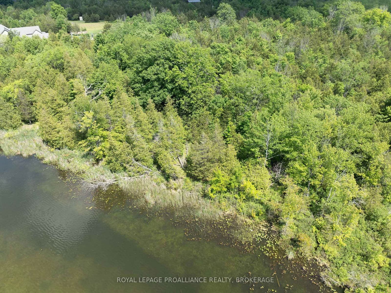 Vacant Land at LOT 5 Applewood Lane, Inverary, ON - Photo 3 - RE/MAX Garden City Realty