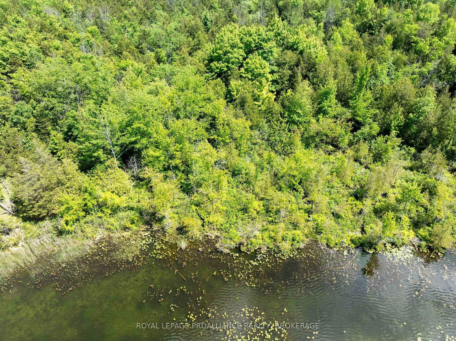 Vacant Land at LOT 5 Applewood Lane, Inverary, ON - Photo 4 - RE/MAX Garden City Realty