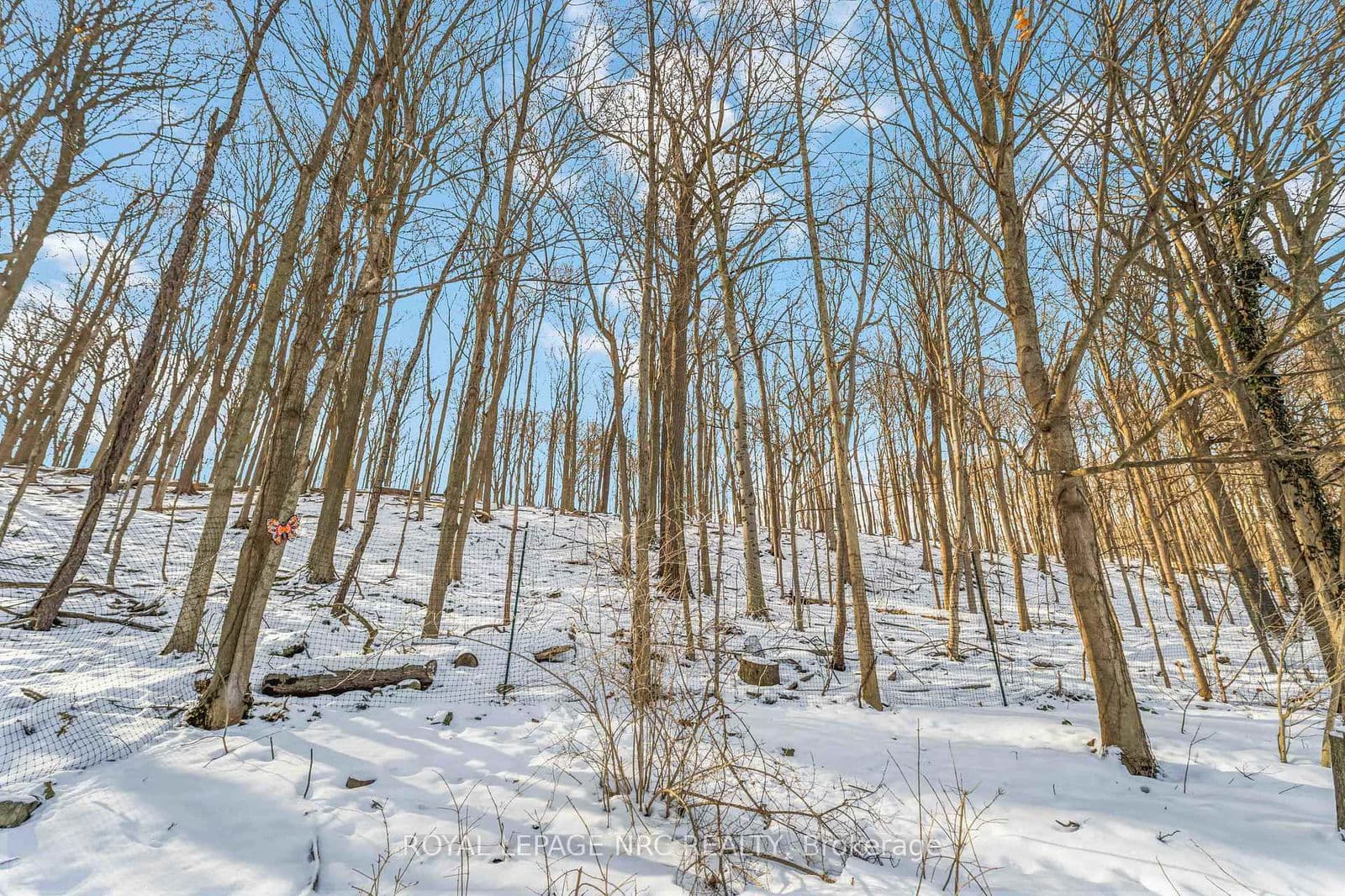 Detached at 192 Woodside Drive, St. Catharines, ON - Photo 42 - RE/MAX Garden City Realty