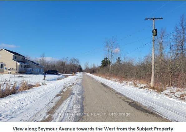 Vacant Land at 1019 Seymour Avenue, Fort Erie, ON - Photo 8 - RE/MAX Garden City Realty