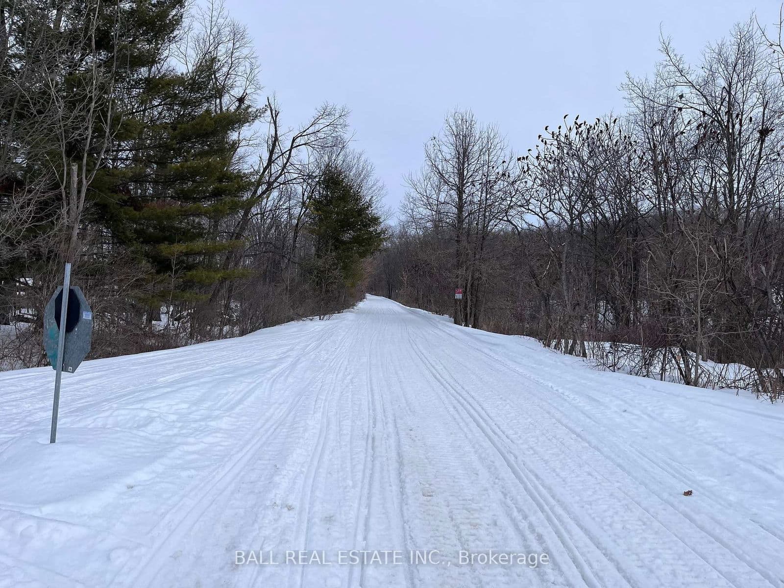 Detached at 23 Valley View Lane, Trent Hills, ON - Photo 25 - RE/MAX Garden City Realty