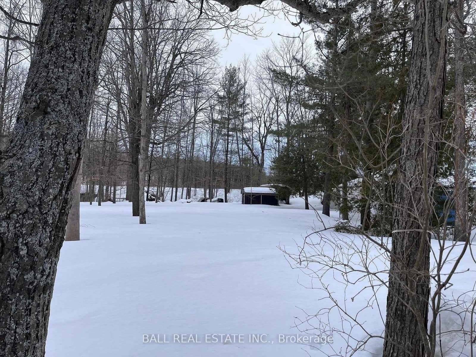 Detached at 23 Valley View Lane, Trent Hills, ON - Photo 27 - RE/MAX Garden City Realty