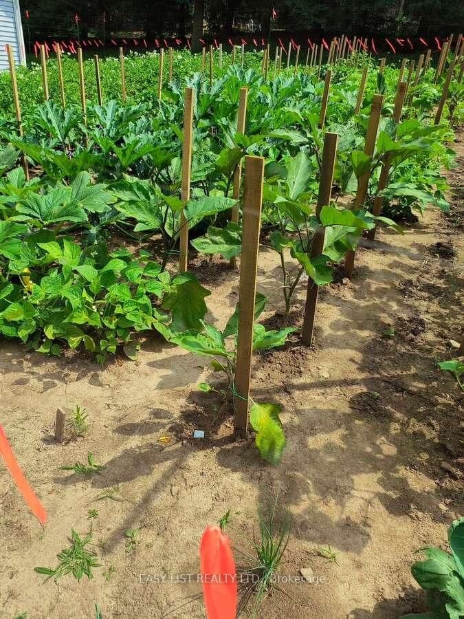 Rural Residential at 1109 Effingham Street, Pelham, ON - Photo 18 - RE/MAX Garden City Realty