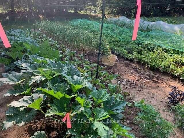 Rural Residential at 1109 Effingham Street, Pelham, ON - Photo 19 - RE/MAX Garden City Realty