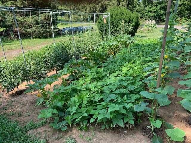 Rural Residential at 1109 Effingham Street, Pelham, ON - Photo 9 - RE/MAX Garden City Realty