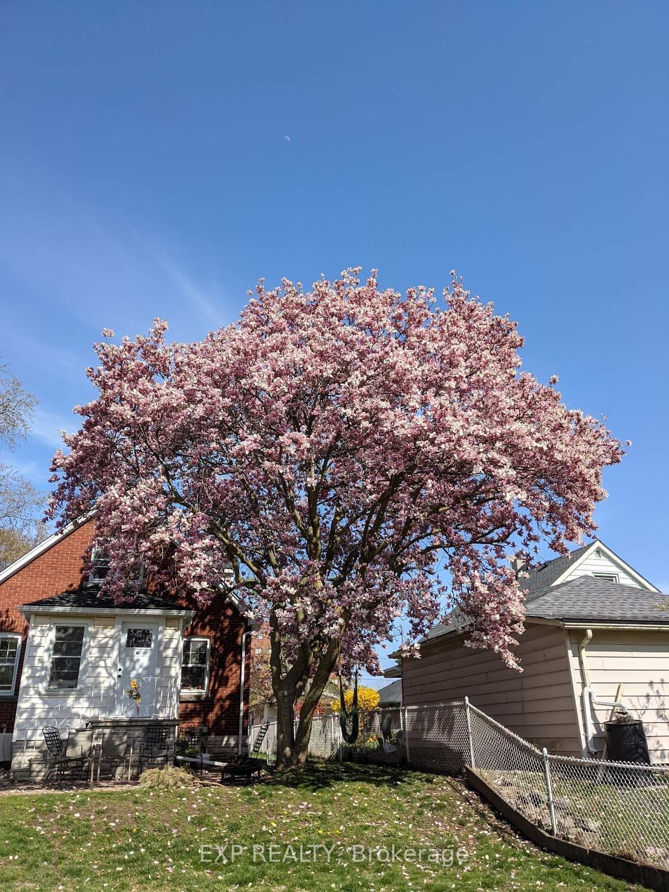 Detached at 3935 St Peter Avenue, Niagara Falls, ON - Photo 37 - RE/MAX Garden City Realty