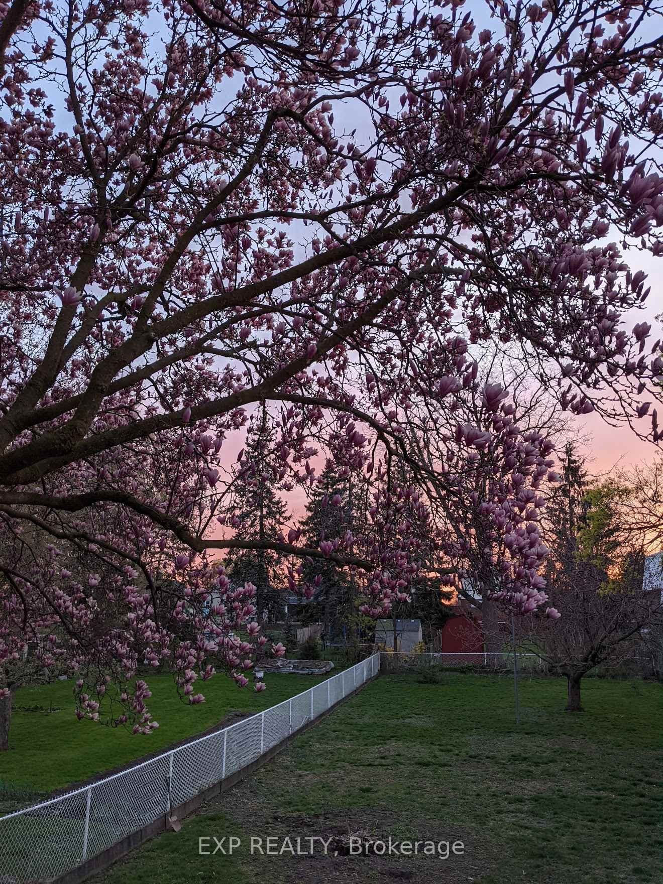 Detached at 3935 St Peter Avenue, Niagara Falls, ON - Photo 39 - RE/MAX Garden City Realty