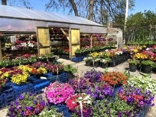 Sale Of Business at 48 Main Street, Port Colborne, ON - Photo 16 - RE/MAX Garden City Realty