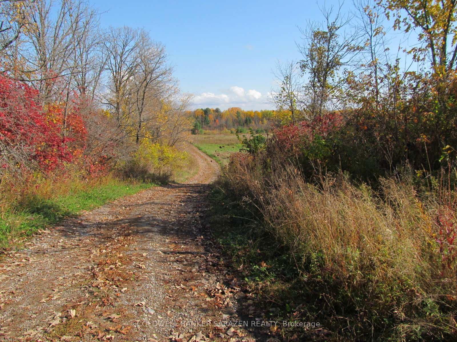 Land at 454 River Road, Arnprior, ON - Photo 11 - RE/MAX Garden City Realty