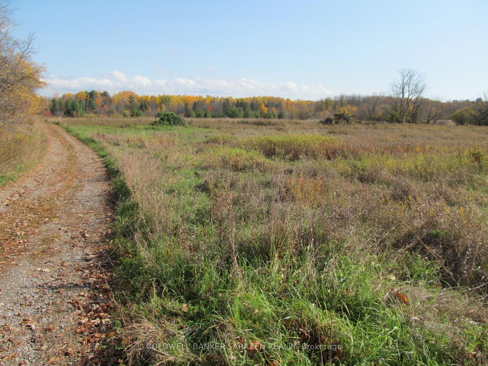 Land at 454 River Road, Arnprior, ON - Photo 12 - RE/MAX Garden City Realty