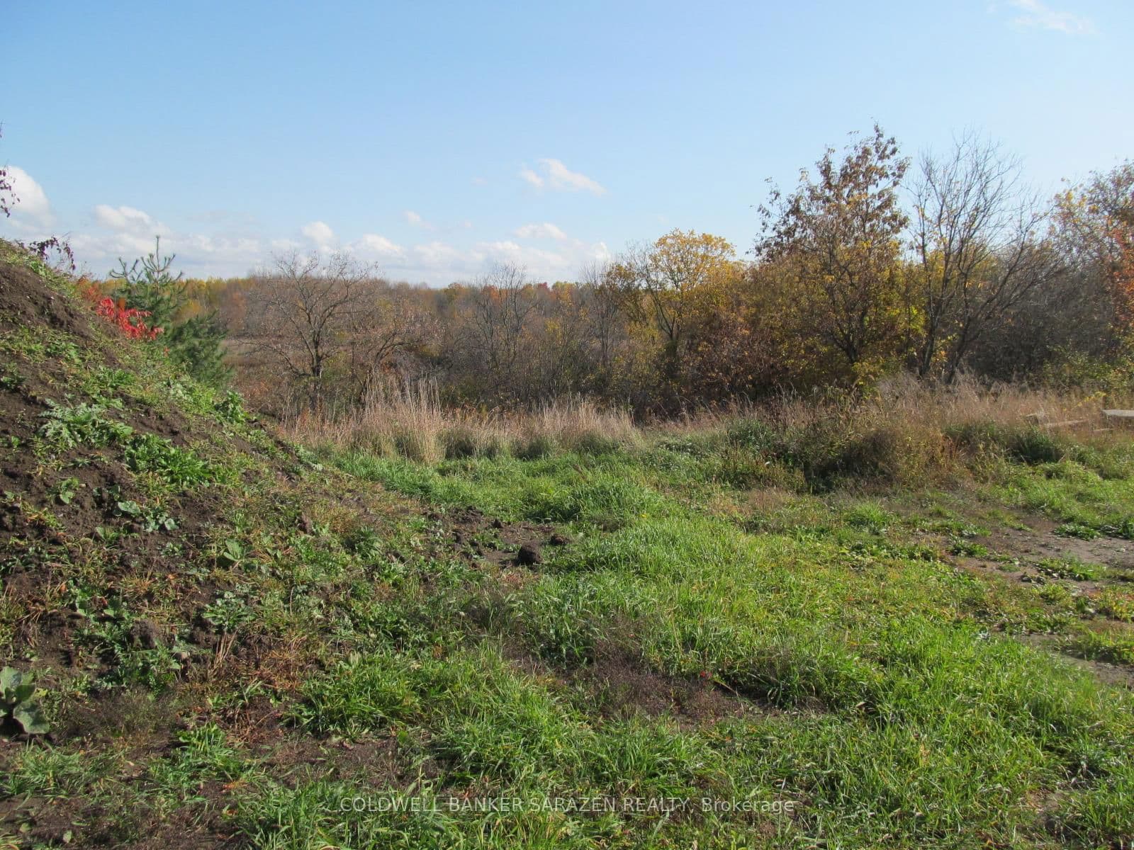 Land at 454 River Road, Arnprior, ON - Photo 7 - RE/MAX Garden City Realty