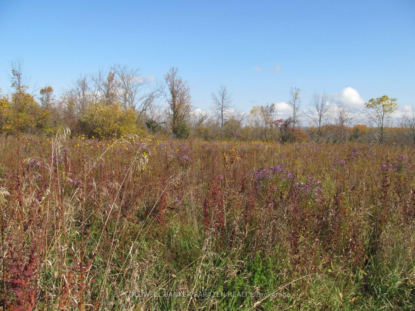 Land at 454 River Road, Arnprior, ON - Photo 8 - RE/MAX Garden City Realty