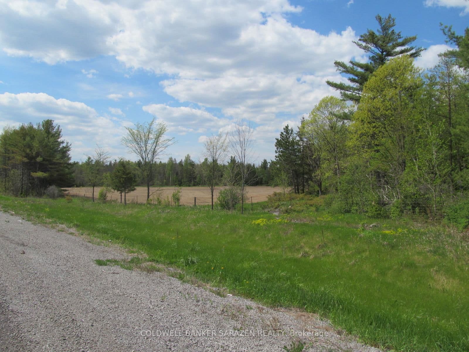 Vacant Land at 00 Scheel Drive, Arnprior, ON - Photo 10 - RE/MAX Garden City Realty