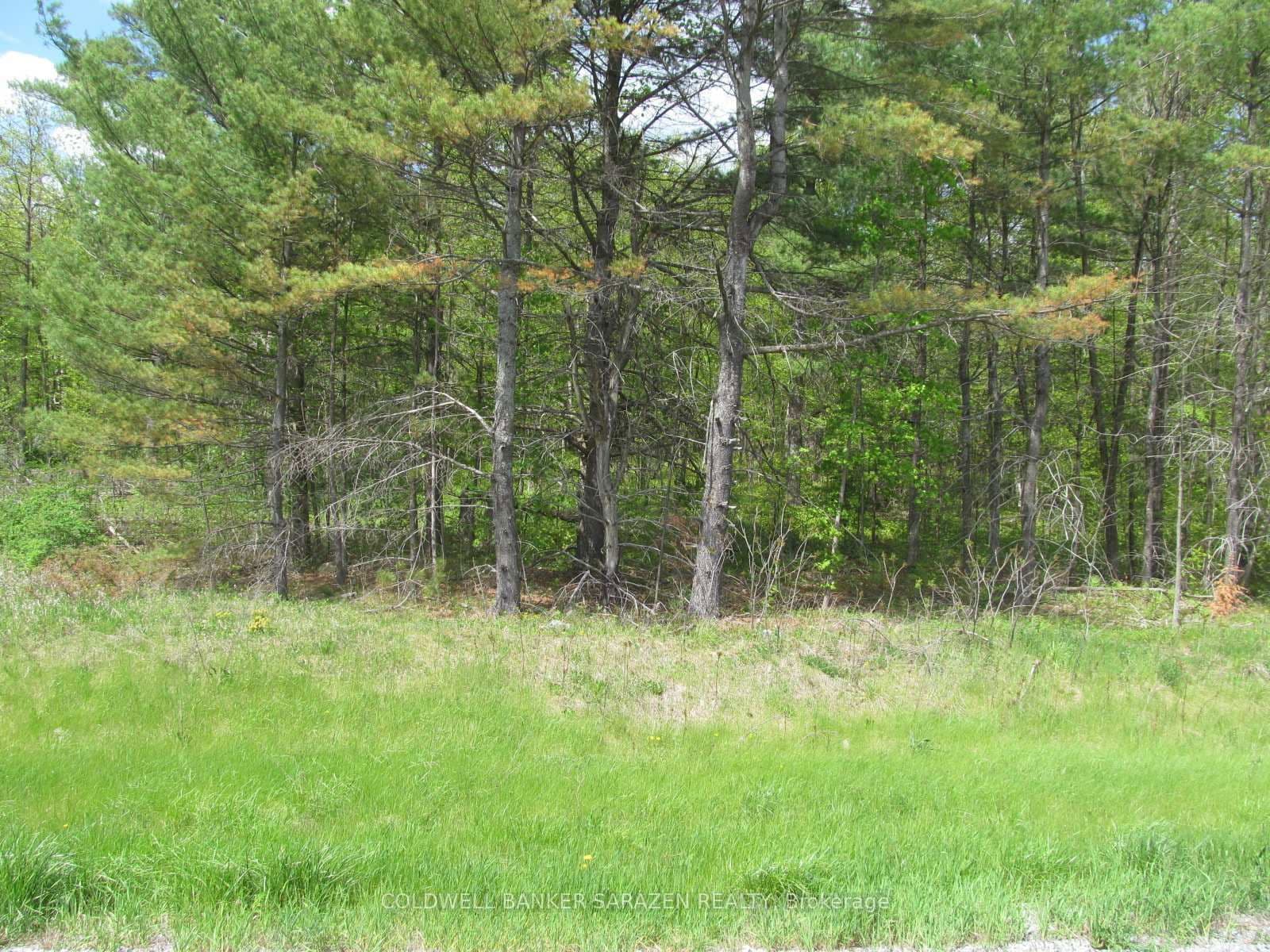 Vacant Land at 00 Scheel Drive, Arnprior, ON - Photo 11 - RE/MAX Garden City Realty