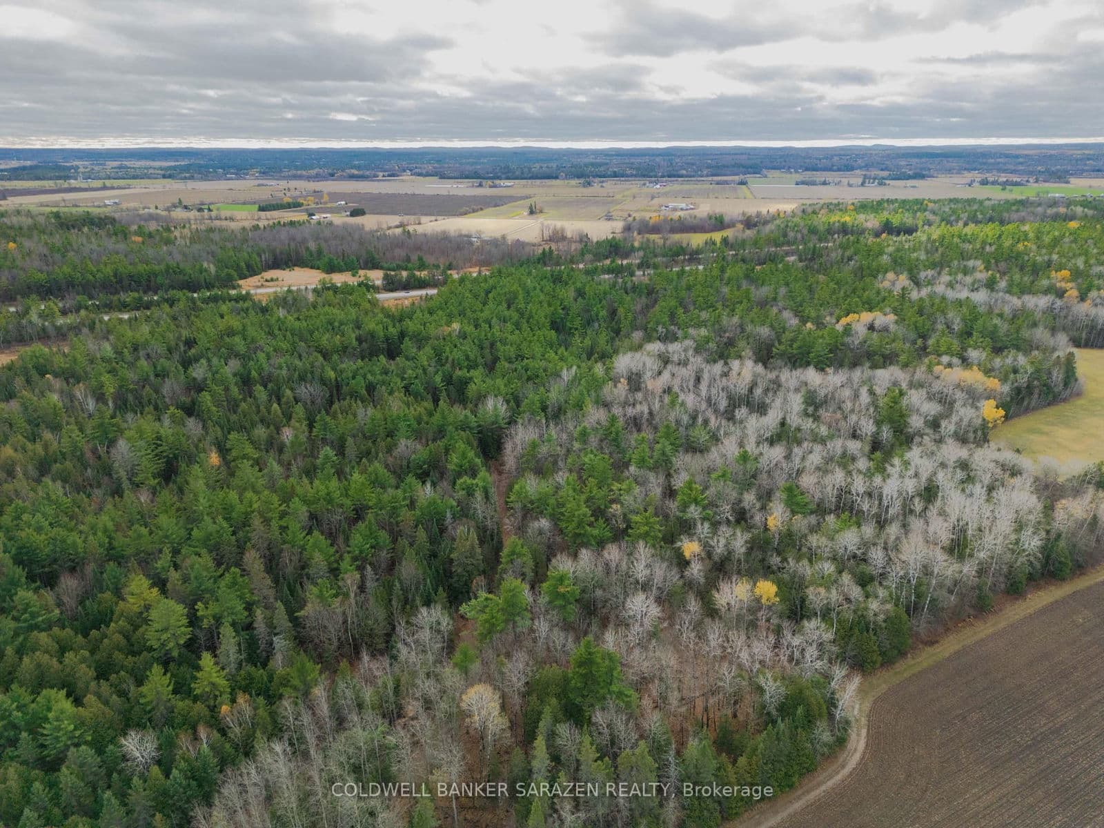Vacant Land at 00 Scheel Drive, Arnprior, ON - Photo 4 - RE/MAX Garden City Realty