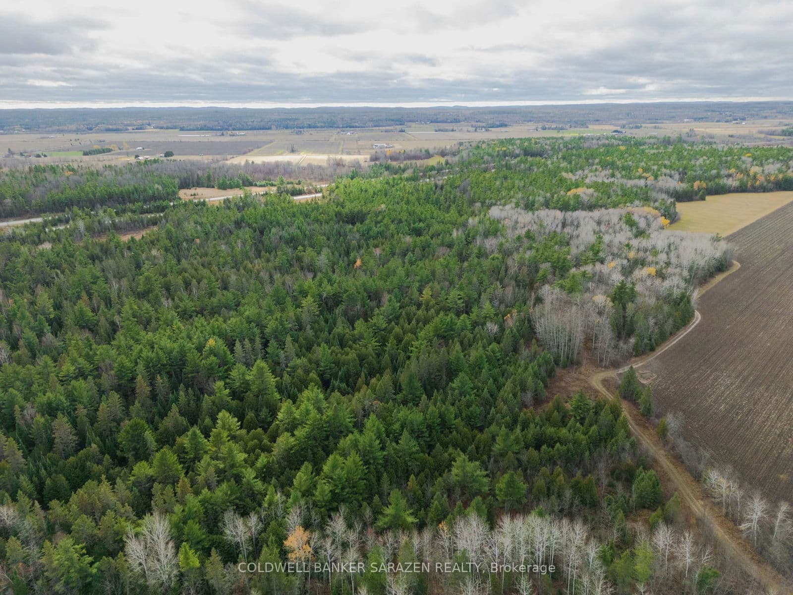 Vacant Land at 00 Scheel Drive, Arnprior, ON - Photo 5 - RE/MAX Garden City Realty