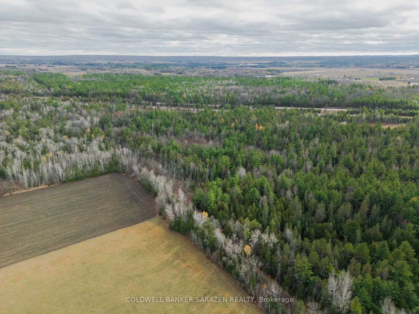 Vacant Land at 00 Scheel Drive, Arnprior, ON - Photo 6 - RE/MAX Garden City Realty