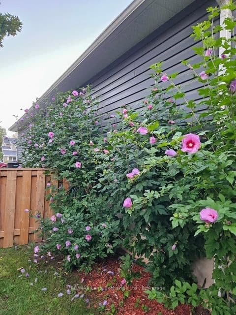 Detached at 737 Green Street, Saugeen Shores, ON - Photo 42 - RE/MAX Garden City Realty