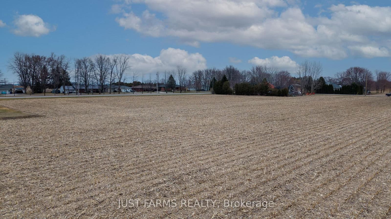 Farm at PT LT 3-4 Dufferin Avenue, Chatham-Kent, ON - Photo 7 - RE/MAX Garden City Realty