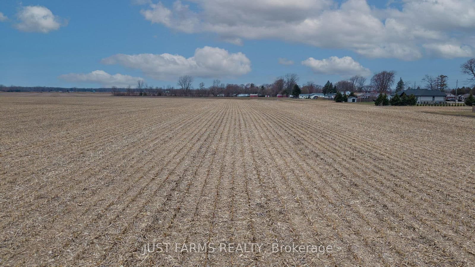Farm at PT LT 3-4 Dufferin Avenue, Chatham-Kent, ON - Photo 8 - RE/MAX Garden City Realty