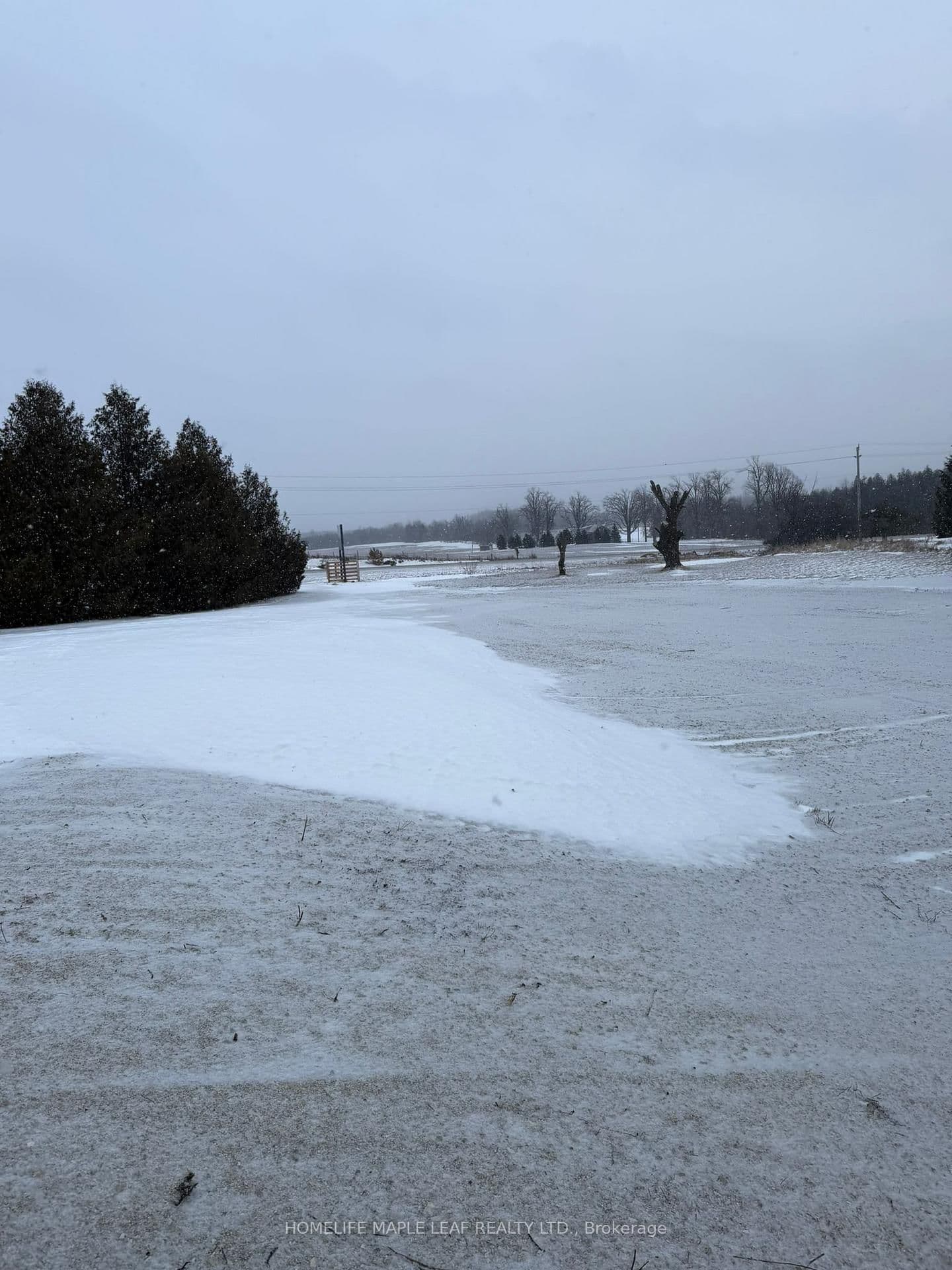 Industrial at 517462 County Road 124, Melancthon, ON - Photo 19 - RE/MAX Garden City Realty