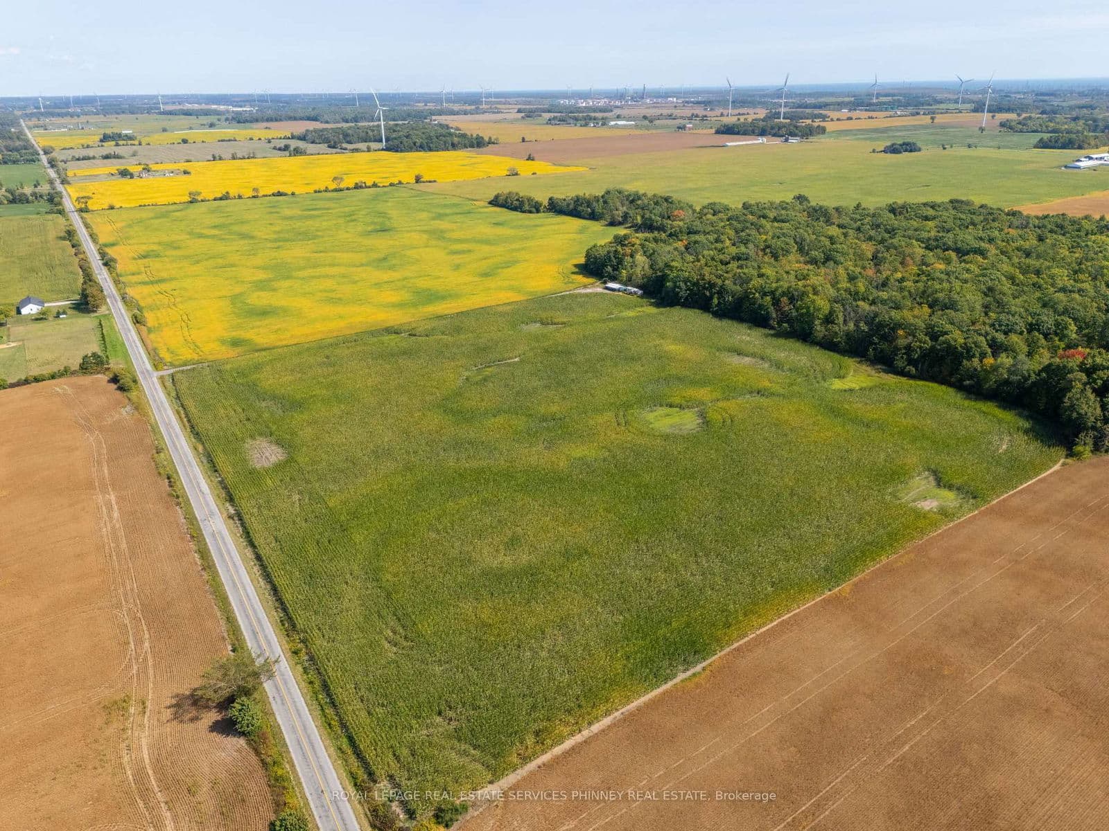 Land at 138 Concession 5 Walpole Acres, Haldimand, ON - Photo 3 - RE/MAX Garden City Realty