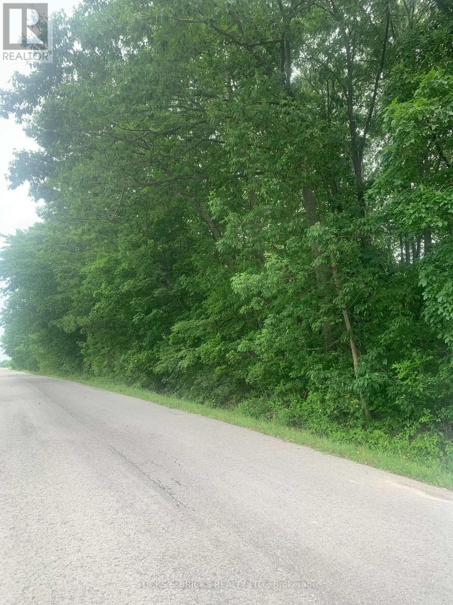 Vacant Land at Pt Lt 16 Lyons Creek Road, Niagara Falls (Lyons Creek), Ontario - Photo 2 - RE/MAX Garden City Realty