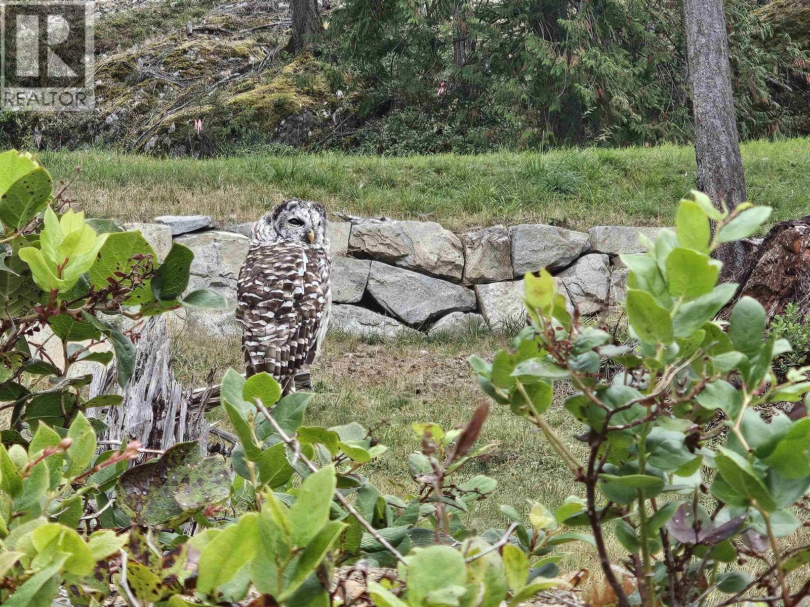 Vacant Land at Lot 6 INNISFREE Lane, Bowen Island, British Columbia - Photo 3 - RE/MAX Garden City Realty