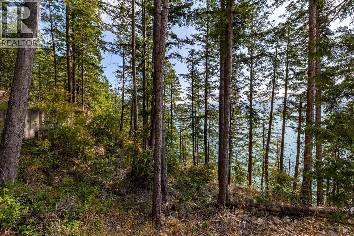 Vacant Land at 1345 CATALINA Road, Bowen Island, British Columbia - Photo 10 - RE/MAX Garden City Realty