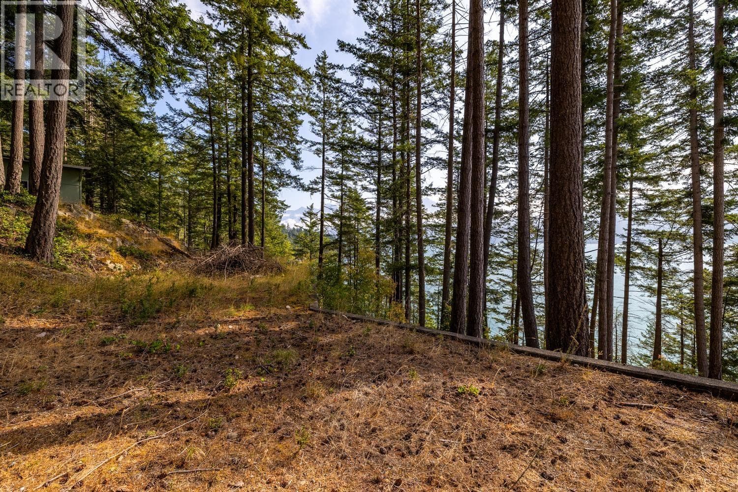 Vacant Land at 1345 CATALINA Road, Bowen Island, British Columbia - Photo 8 - RE/MAX Garden City Realty