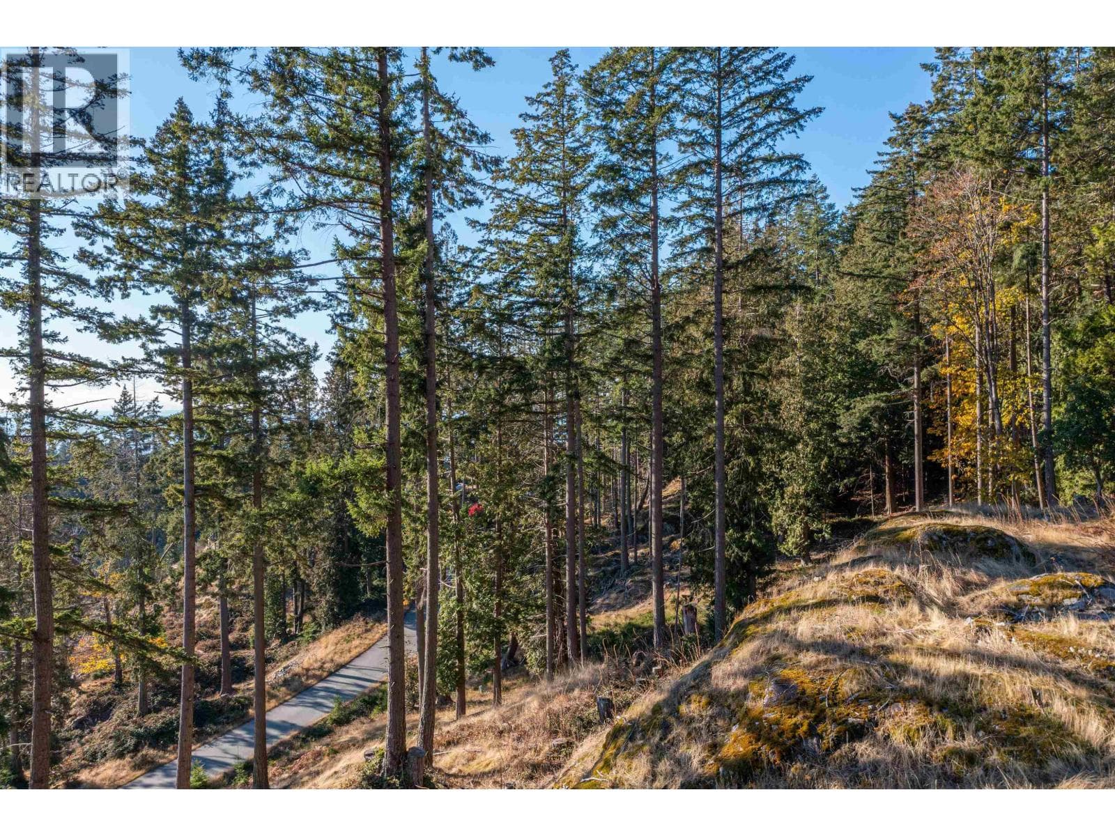 Vacant Land at 818 MCINTOSH Lane, Bowen Island, British Columbia - Photo 10 - RE/MAX Garden City Realty