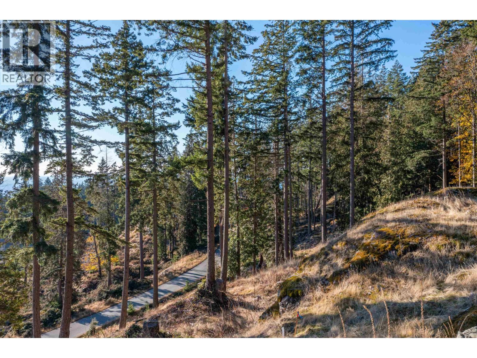 Vacant Land at 818 MCINTOSH Lane, Bowen Island, British Columbia - Photo 6 - RE/MAX Garden City Realty