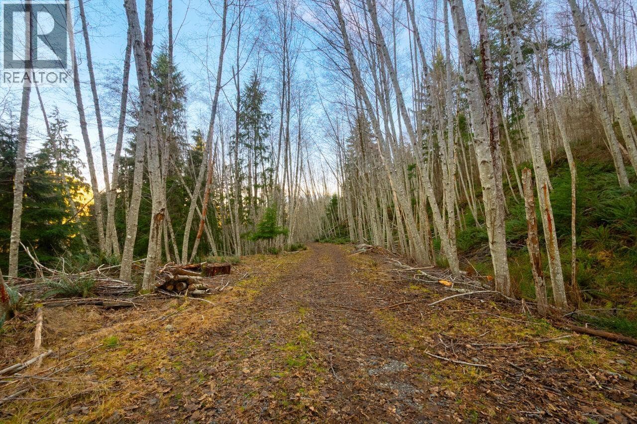 Vacant Land at 1049 GRAFTON Road, Bowen Island, British Columbia - Photo 3 - RE/MAX Garden City Realty