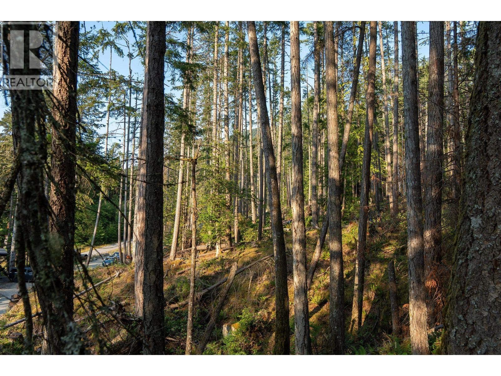 Vacant Land at 786 HAYES Road, Bowen Island, British Columbia - Photo 7 - RE/MAX Garden City Realty