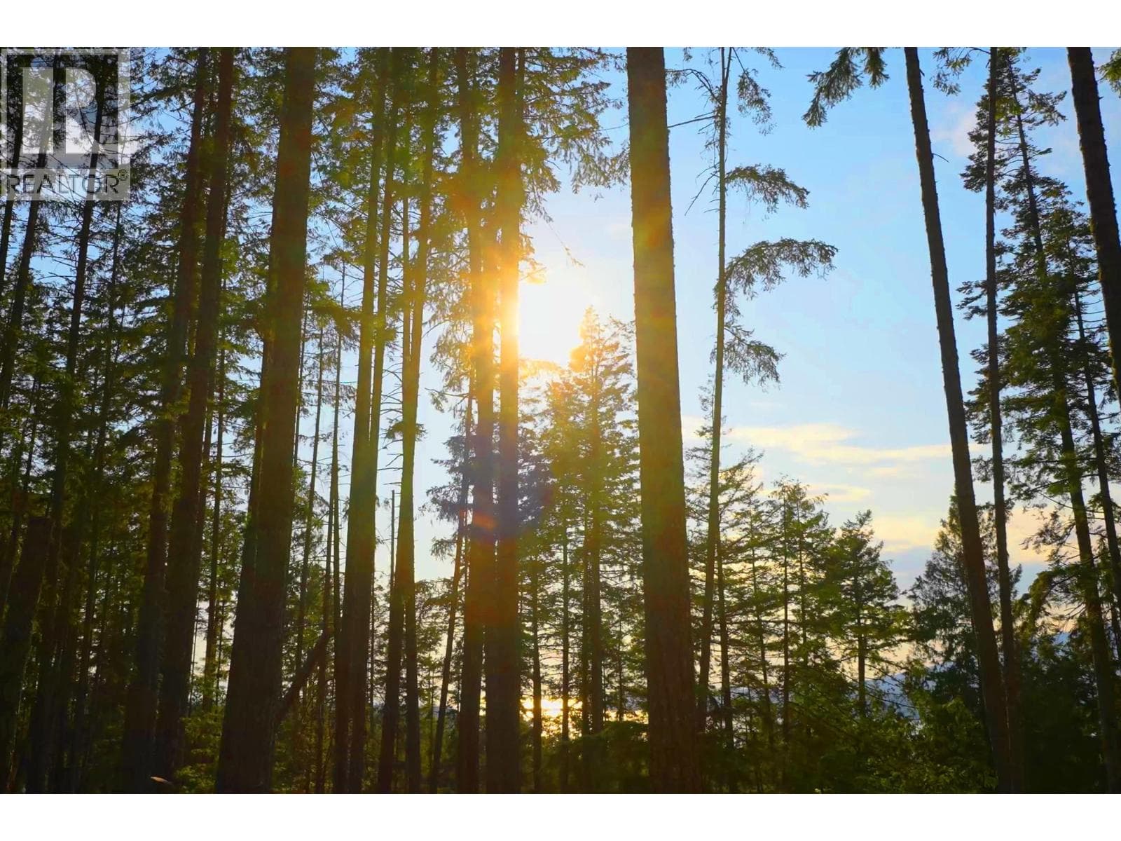 Vacant Land at 786 HAYES Road, Bowen Island, British Columbia - Photo 10 - RE/MAX Garden City Realty