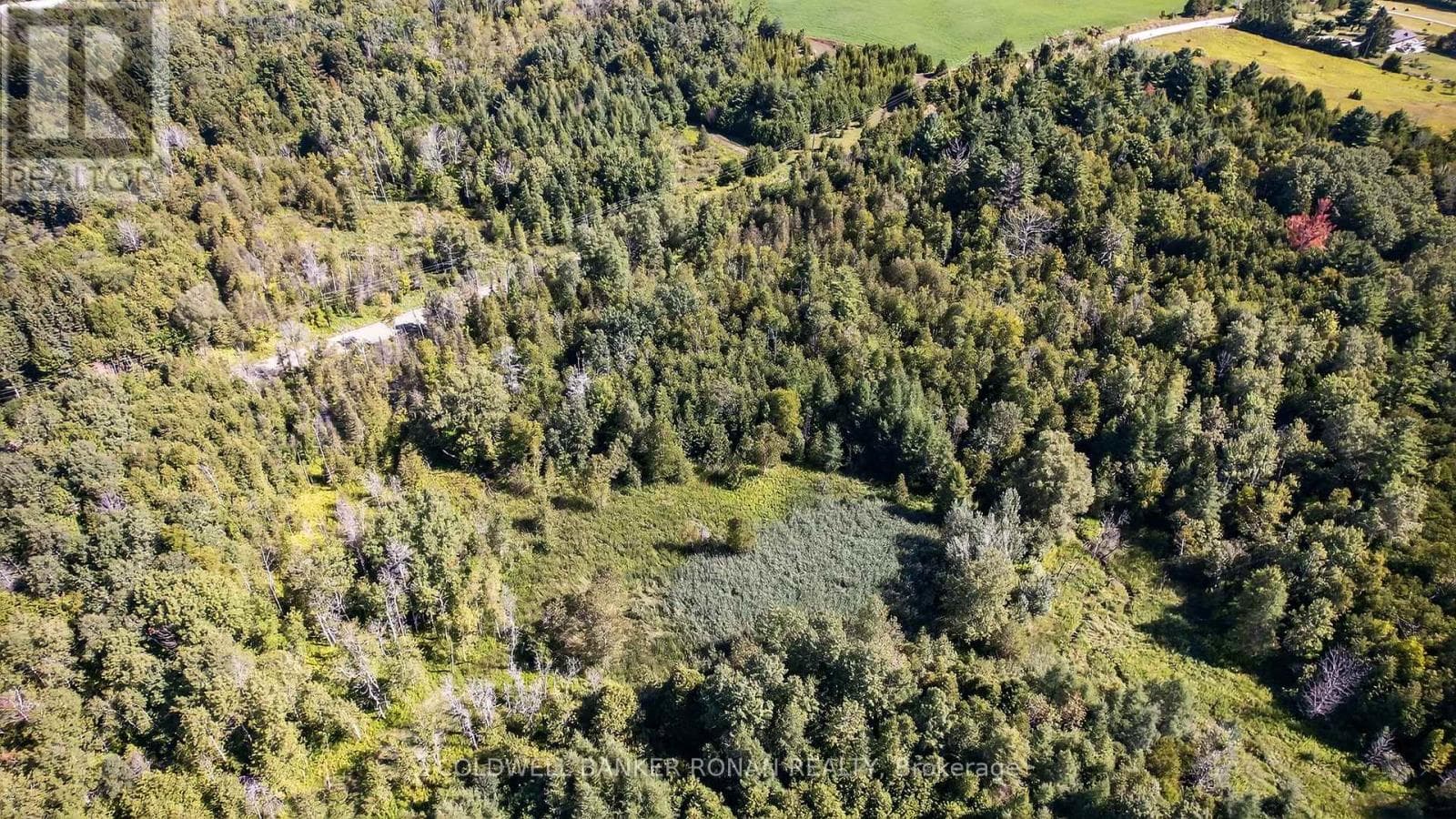 Vacant Land at 8155 19th Sideroad, King, Ontario - Photo 10 - RE/MAX Garden City Realty