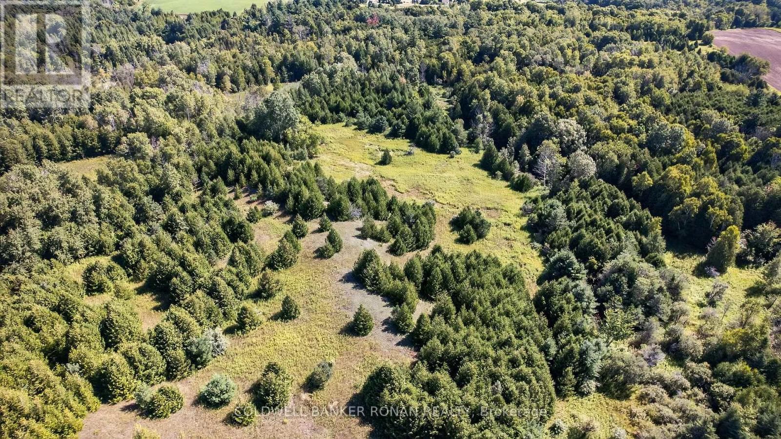 Vacant Land at 8155 19th Sideroad, King, Ontario - Photo 2 - RE/MAX Garden City Realty