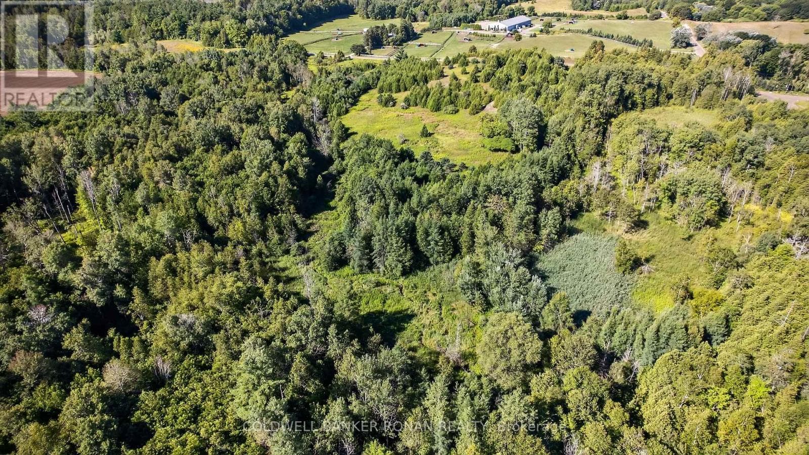 Vacant Land at 8155 19th Sideroad, King (Schomberg), Ontario - Photo 5 - RE/MAX Garden City Realty