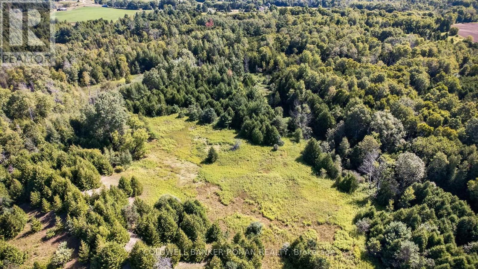 Vacant Land at 8155 19th Sideroad, King (Schomberg), Ontario - Photo 6 - RE/MAX Garden City Realty