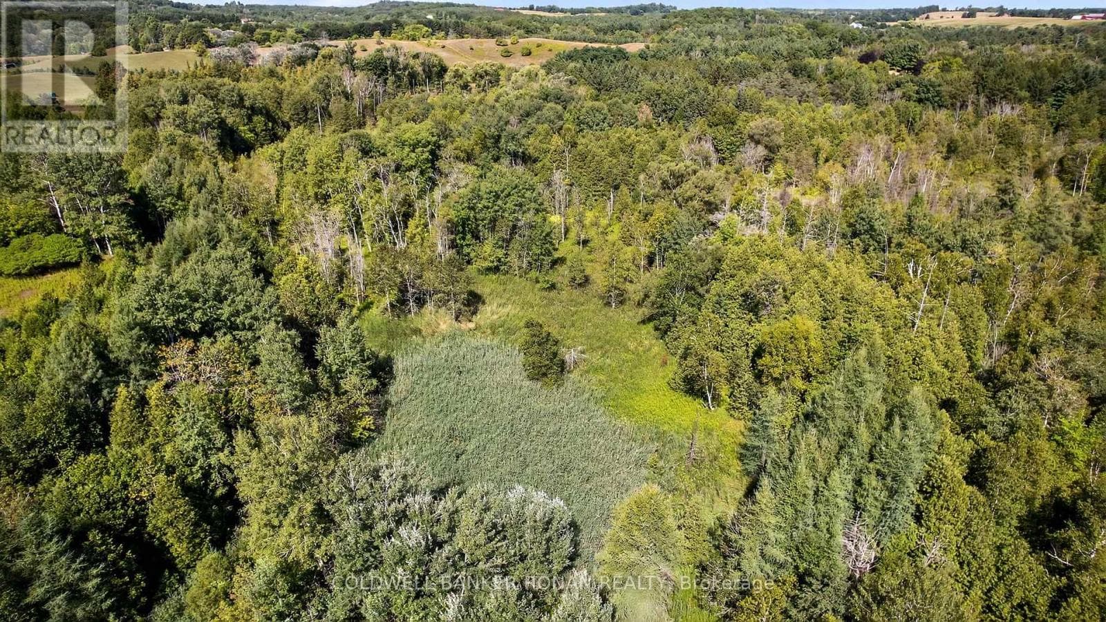 Vacant Land at 8155 19th Sideroad, King (Schomberg), Ontario - Photo 9 - RE/MAX Garden City Realty