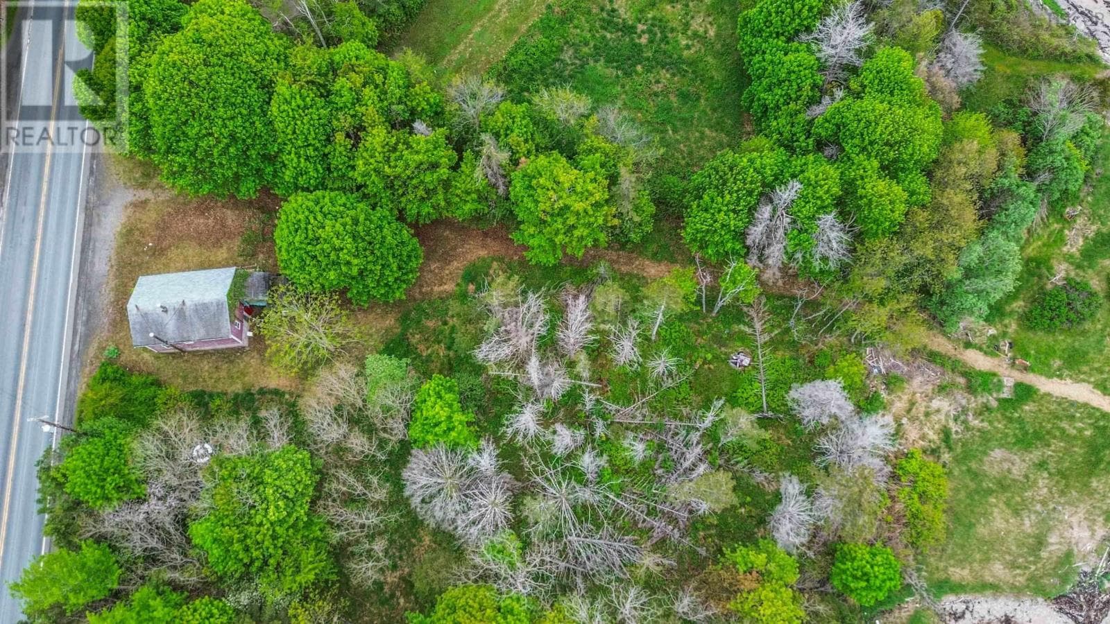 Vacant Land at , Brighton, Nova Scotia - Photo 3 - RE/MAX Garden City Realty