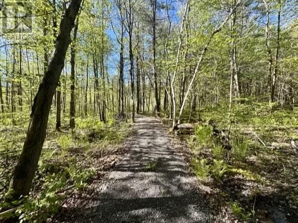 Vacant Land at , French River, Ontario - Photo 10 - RE/MAX Garden City Realty