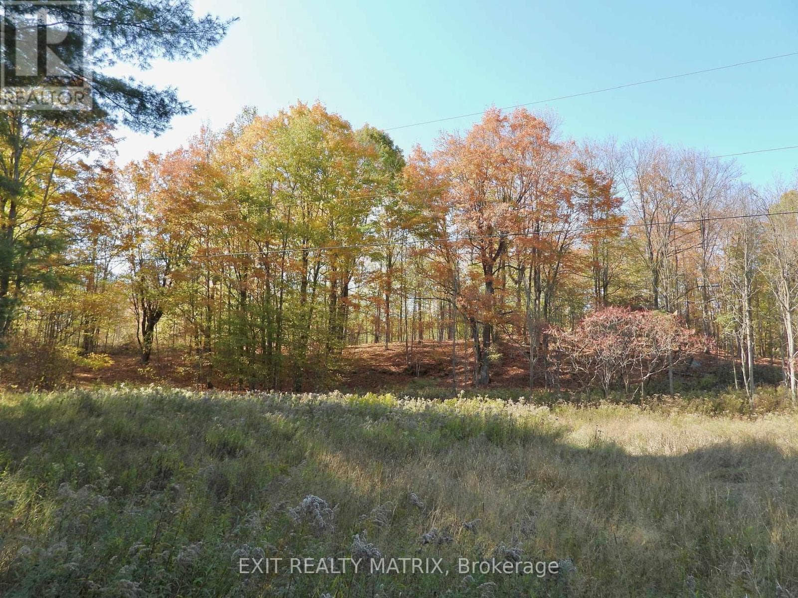 LOT 2 Woodland Park Drive